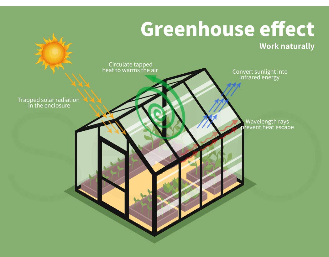 2-Tier Walk-In Greenhouse with PVC Cover