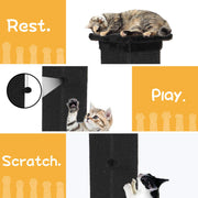 Cat Scratching Post