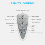 Transformers Smart Talking Robot