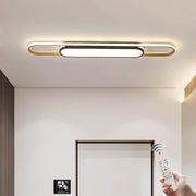 Linear Ceiling Light Modern LED Ceiling Lamp Dimmable Acrylic Ceiling Lighting Fixture with Remote Control for Kitchen Dining Room Cloakroom Hallway(48W/110CM L)