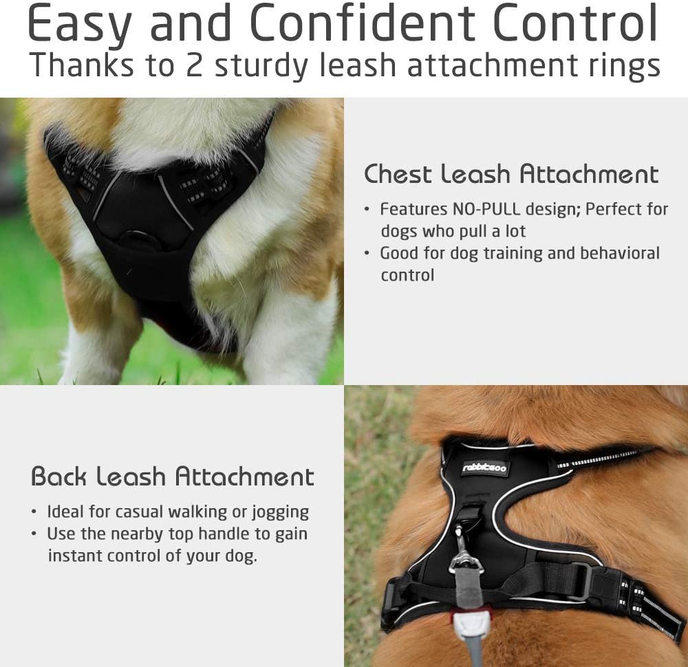 Dog Harness