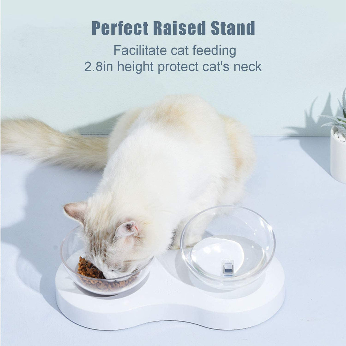 Double Cat Bowl