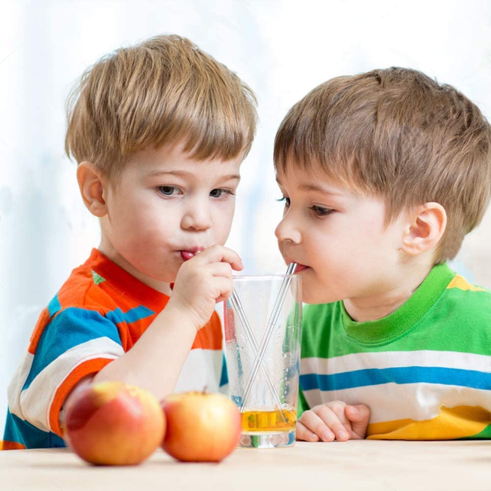 Telescopic Reusable Straws (2 Pack)