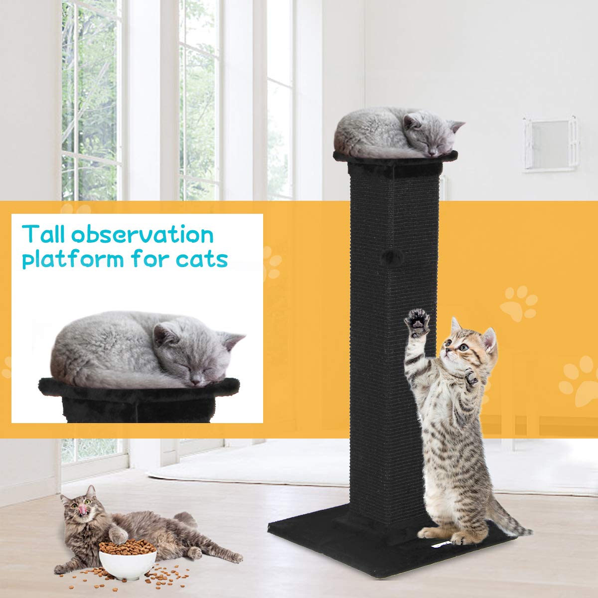 Cat Scratching Post
