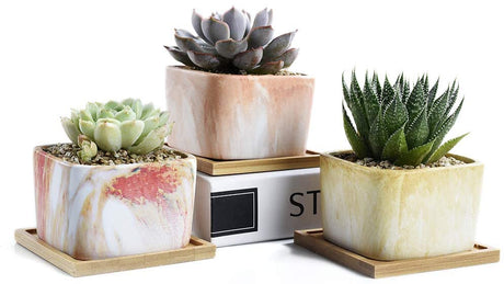 Square Marbling Ceramic Succulent Pots