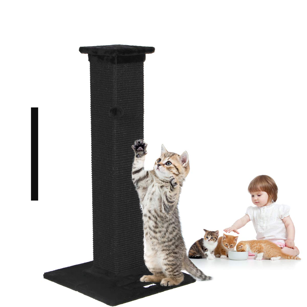 Cat Scratching Post