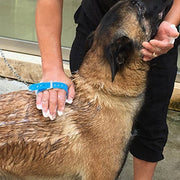 2-in-1 Hand-Worn Pet Bathing Brush & Water Sprayer