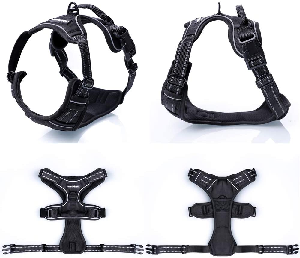 Dog Harness