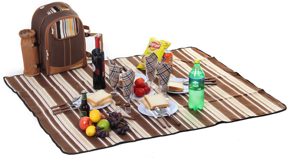 Picnic Backpack Bag- 4 Person