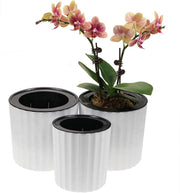 Orchid Pot with Net and Holes, Round Self Watering Planter Pot for Indoor Plants and Flowers 3 Sets White