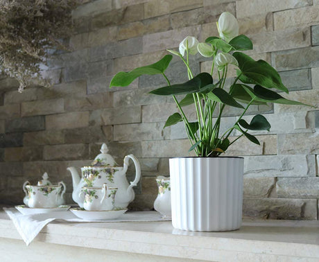 Orchid Pot with Net and Holes, Round Self Watering Planter Pot for Indoor Plants and Flowers 3 Sets White