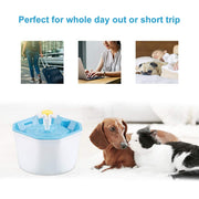Pet Water Fountain