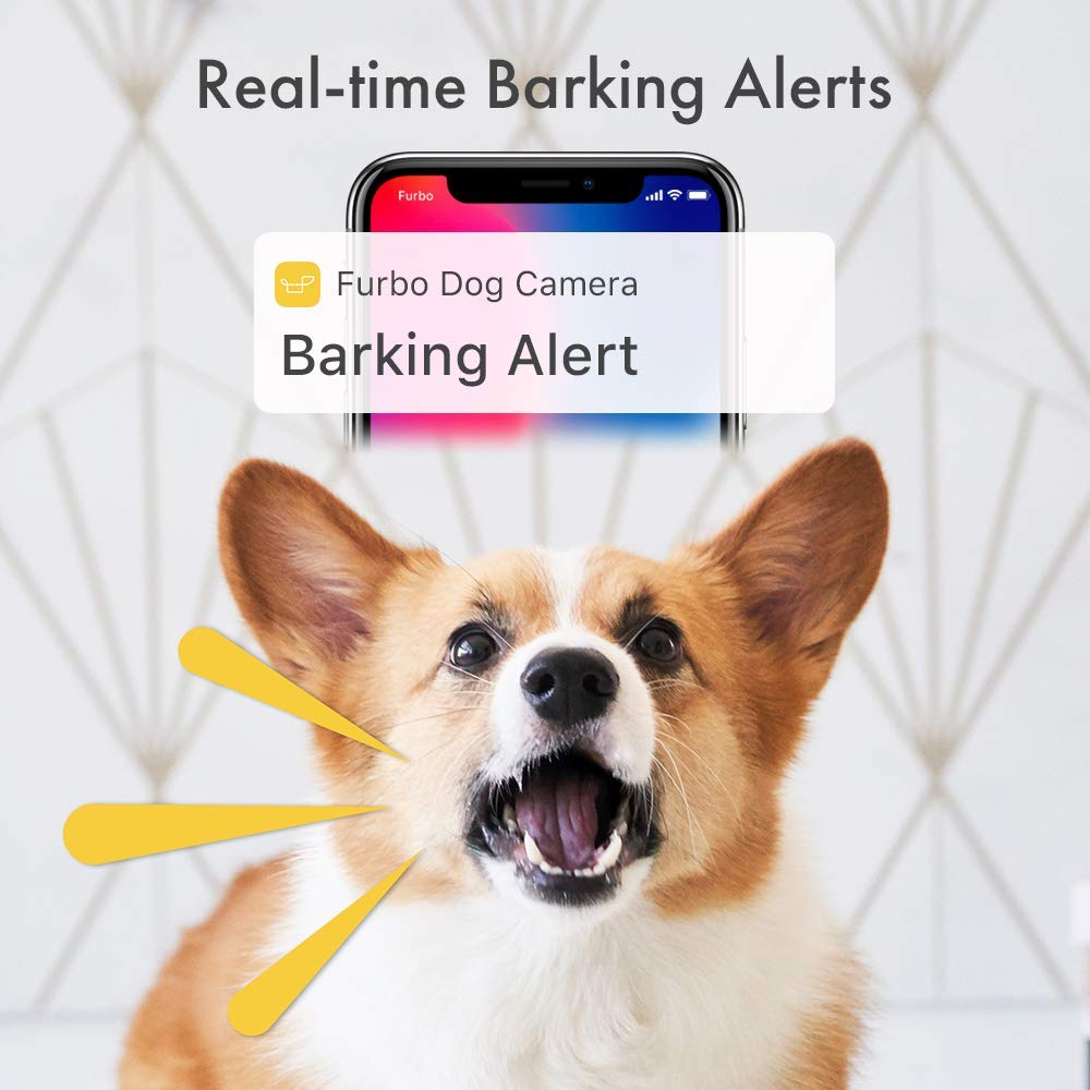Furbo Dog Camera