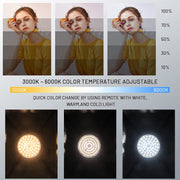 Photo Studio Background System + Bi-Color Dimmable 2X 85W Softbox Continuous Lighting Kit with Black White Gray Green Screen Backdrop Cloth for Portrait Product Photography Video Shooting
