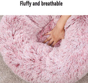 Pet Bed