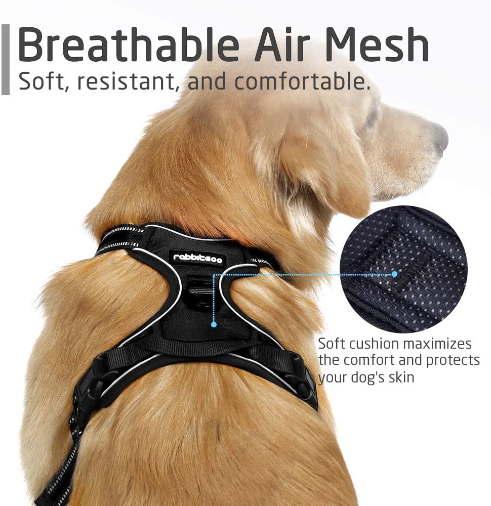 Dog Harness