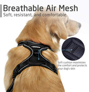Dog Harness