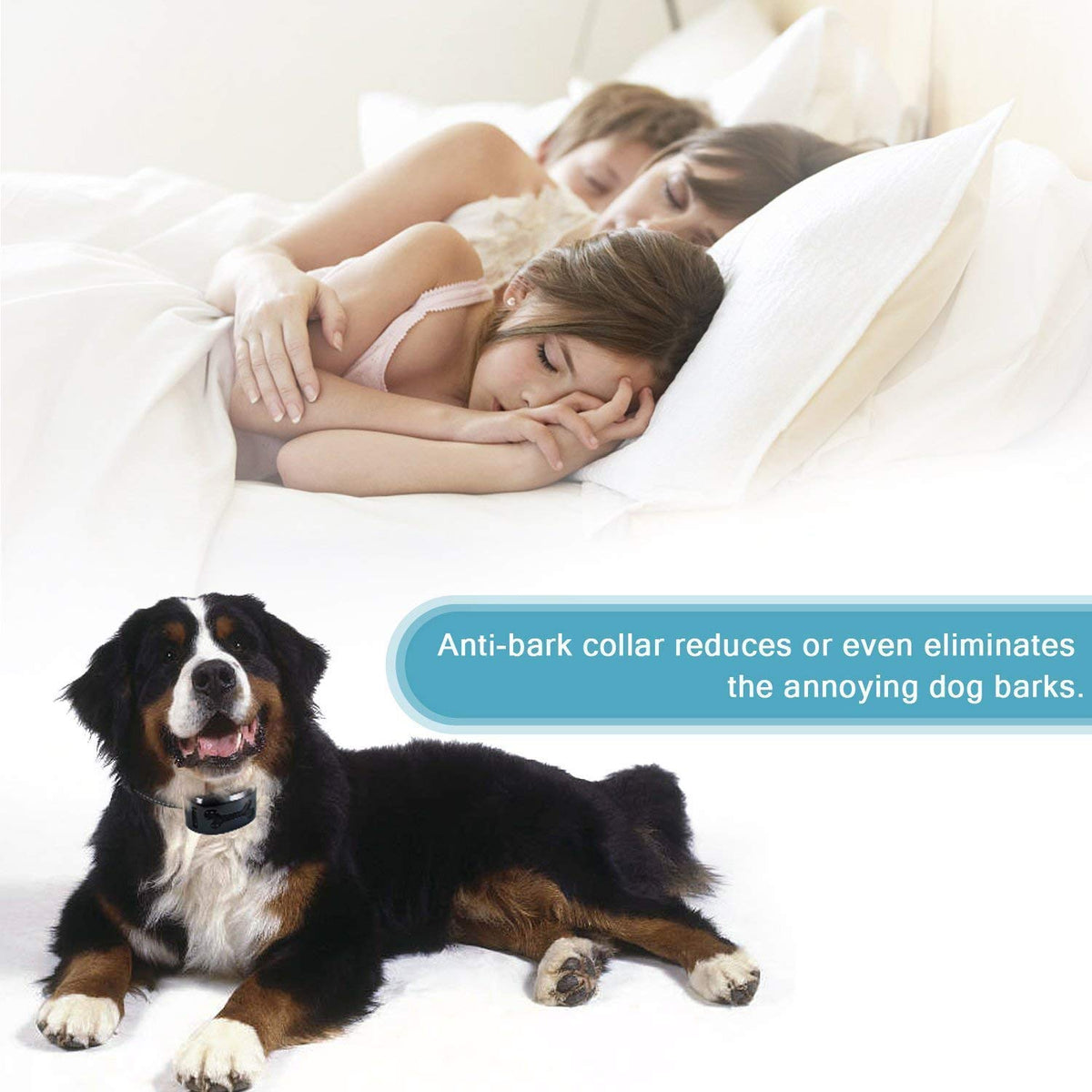 Rechargeable Anti-Bark Collar with Beep & Vibration – 7 Sensitivity Levels