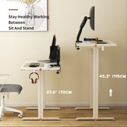 Ergonomic Standing Desk 28"-45" Height Adjustable Electric Sit Stand Desks with Smart Memory Lifting Base Sturdy Motor Computer Workstation for Home, Office, Gaming, Study(White Top White Legs)