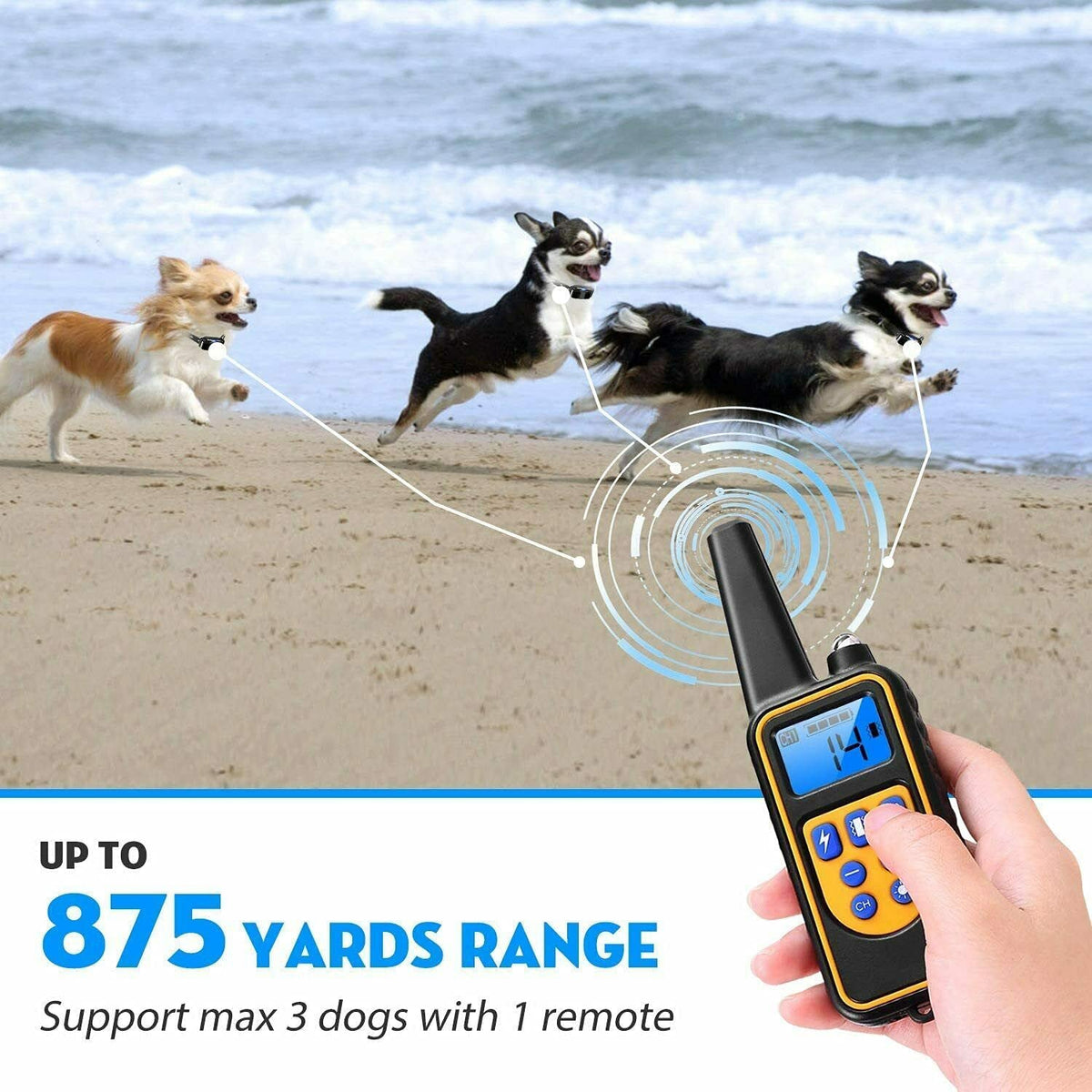 Dog Training Collar with Remote Control,100% IPX7 Waterproof Rechargeable Electric Train Collar with LED Light/Beep/Vibration/Shock Modes, Dog Pet Anti Bark E-Collar for Small, Medium, Large Dogs (1 Remote + 2 Receiver)