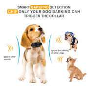 Rechargeable Anti-Bark Collar with Beep & Vibration – 7 Sensitivity Levels