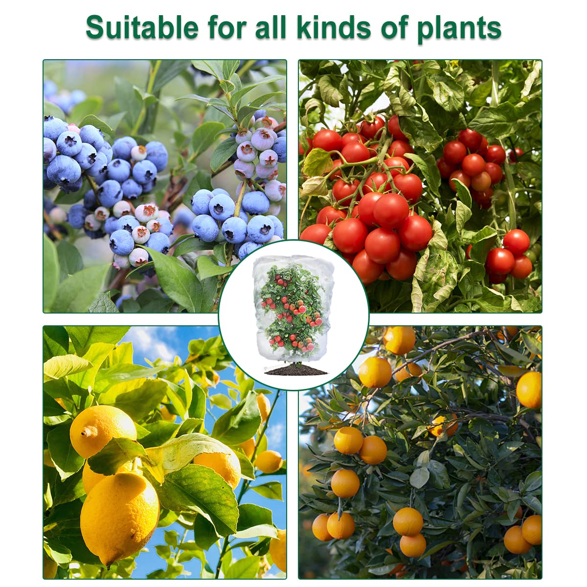 4-Pack Drawstring Fruit & Plant Protection Mesh Bags – 3.5 × 2.3 ft