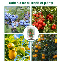4-Pack Drawstring Fruit & Plant Protection Mesh Bags – 3.5 × 2.3 ft