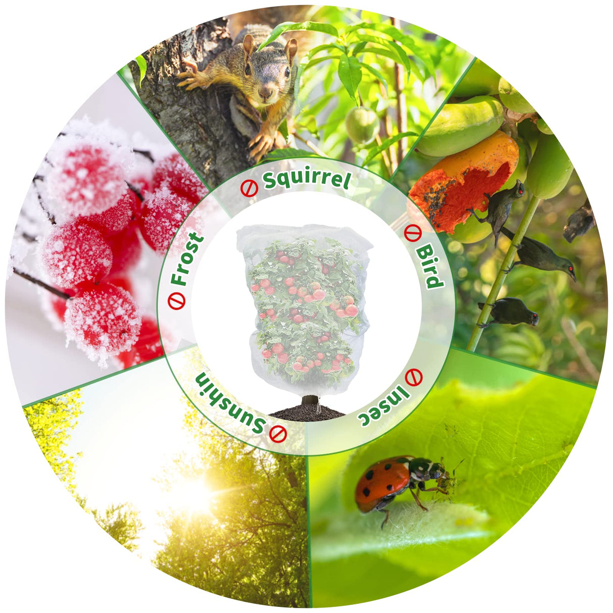 4 Pack Fruit Protection Bags with Drawstring, Garden Netting Plant Covers, 3.5 Ft x 2.3 Ft Perfect for Tomato Netting Cover Garden Plant Barrier Netting Bags for Vegetables Fruits Flower