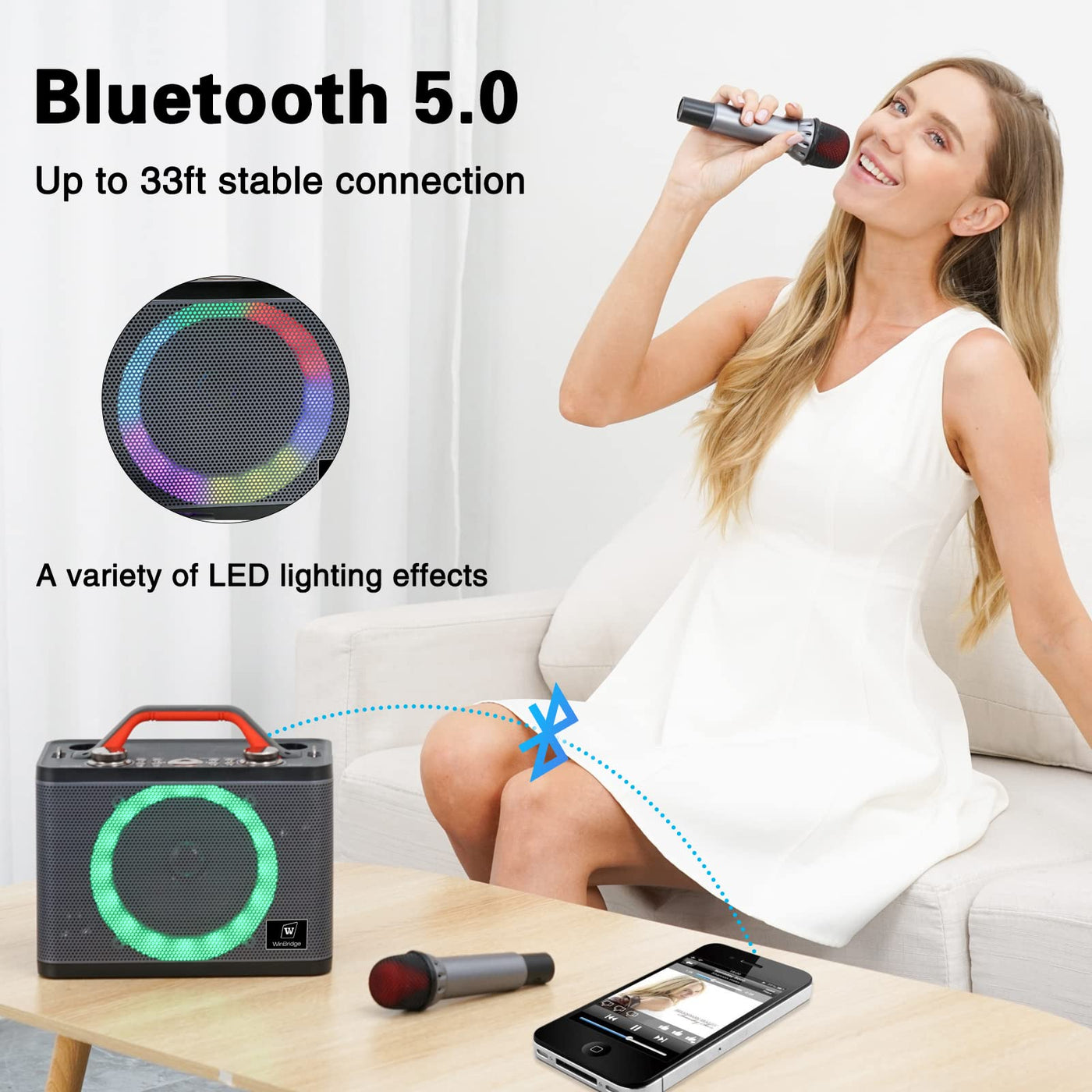 WINBRIDGE T8 Portable Karaoke Speaker with 2 Wireless Microphones