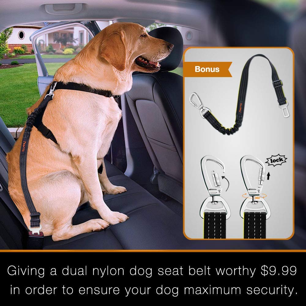 Dog Seat Cover