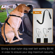 Dog Seat Cover