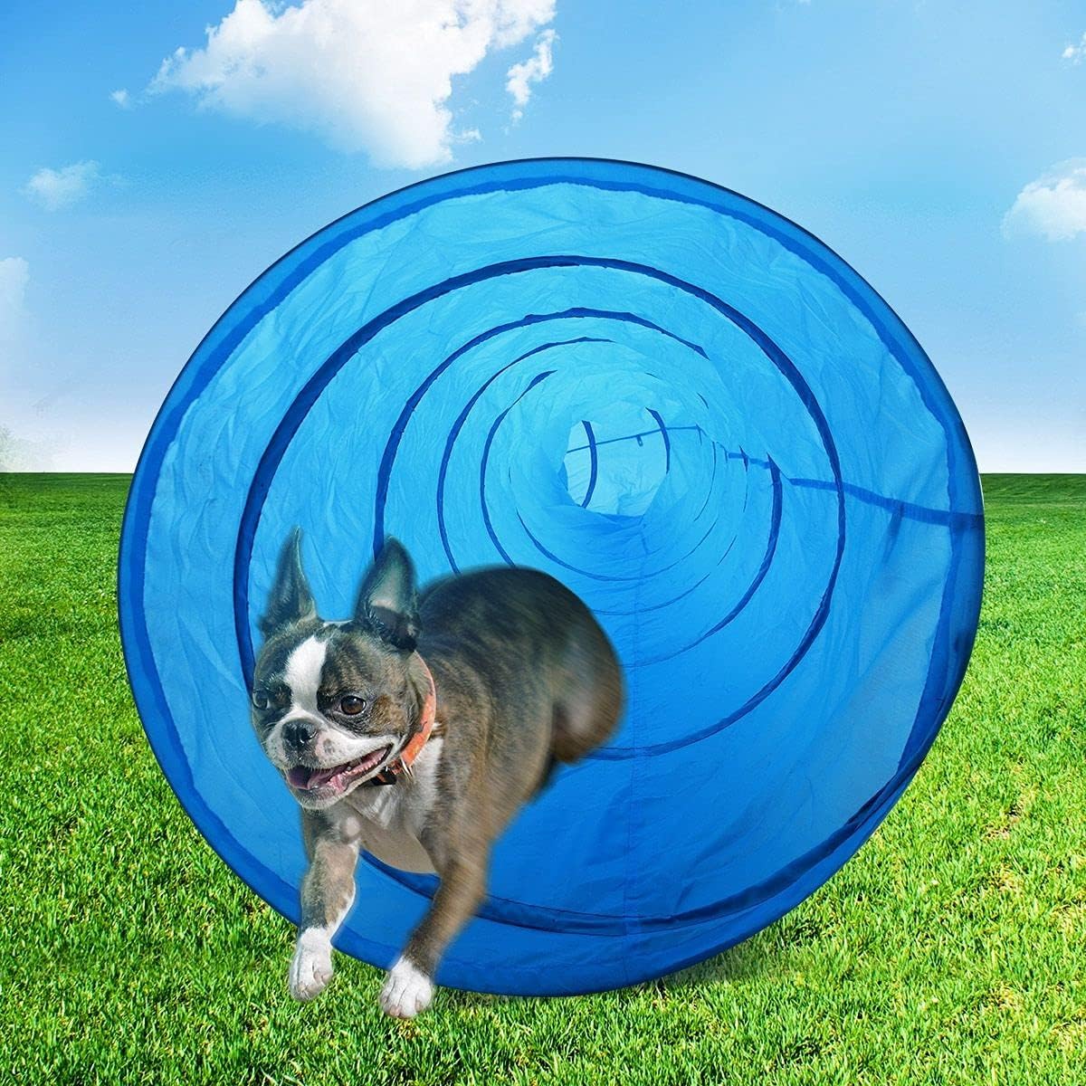 5.5 m Foldable Dog Agility Tunnel with Ground Pegs & Carry Bag