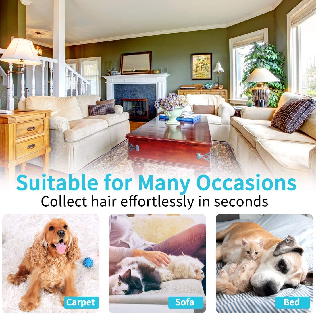 Pet Hair Remover