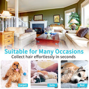 Pet Hair Remover