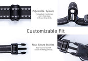 Dog Harness
