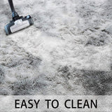 Area Rug Super Soft Indoor Modern Shag Shaggy Silky Smooth Rugs Fur Fluffy Anti-Skid Carpet Living Room Dining Room Bedroom Floor Mat