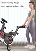 Belt-Drive Indoor Exercise Bike with 9 lb Flywheel