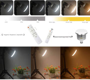 Studio lighting Kit Bi-Color Dimmable 2x 85W Softbox Continuous Lighting Background Support System Black White Green Backdrop Cloth with Stand For Portrait Product Photography Video Shooting