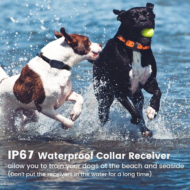 Dog Training Collar ,Long Range 2600ft Rechargeable Shock Collar ,100% Waterproof Dog Shock Collar with Remote and 4 Training Modes, Beep, Vibration , LED Light and Shock,0~99 Shock L (3 receivers)