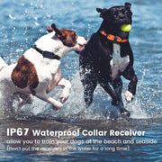 Dog Training Collar ,Long Range 2600ft Rechargeable Shock Collar ,100% Waterproof Dog Shock Collar with Remote and 4 Training Modes, Beep, Vibration , LED Light and Shock,0~99 Shock L (3 receivers)