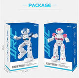 Transformers Smart Talking Robot
