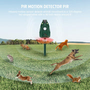 Solar Animal Device