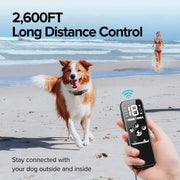 Dog Training Collar, Rechargeable Shock Collar for Dogs with Vibration, Electric Shock, Beep, Security Lock, Remote and Waterproof for Small, Medium, Large Dogs