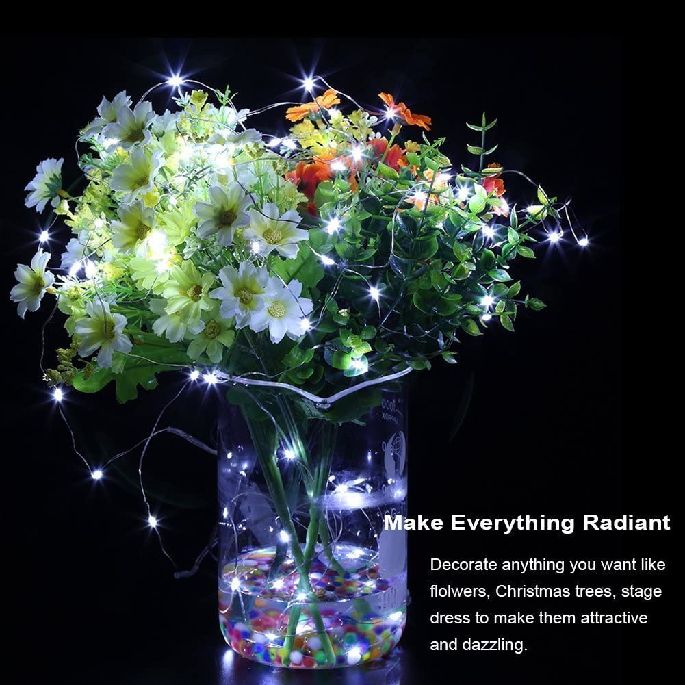 Led String Lights Battery Powered (2 Pack)