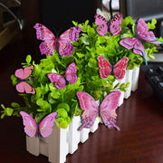 24-Piece Purple & Pink 3D Butterfly Wall Décor Set