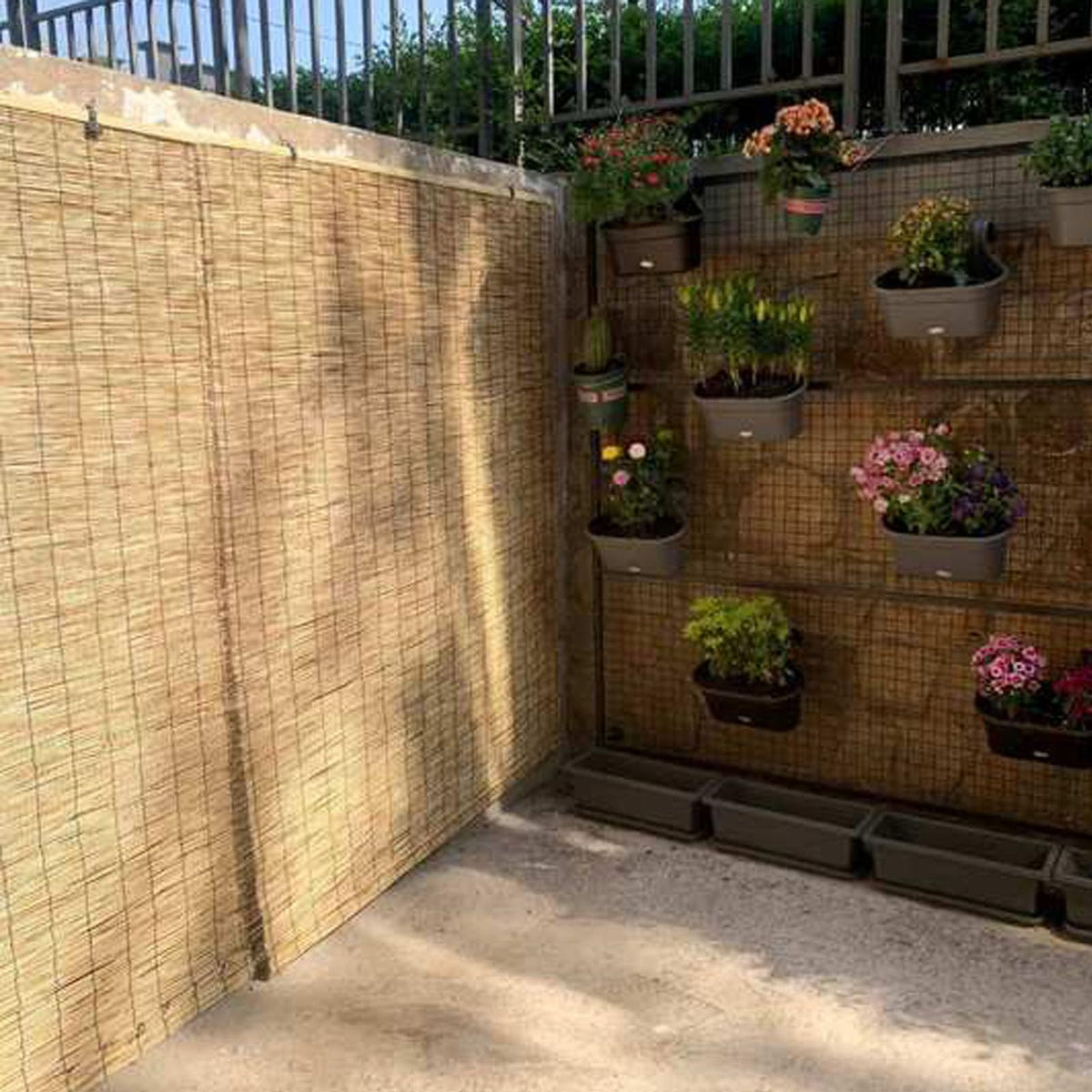 Natural Reed Curtains,Bamboo Roman Blinds,Retro Partition Blind Sun Shade,Bamboo Roll,Sunscreen Roller Shades,Anti-UV,Vertical Blackout Blinds,for Outdoor/Indoor Window