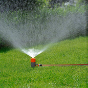 Garden Sprinkler Fox