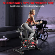 Belt-Drive Indoor Exercise Bike with 9 lb Flywheel