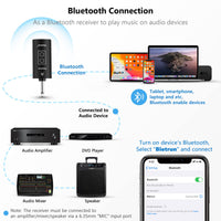 Bietrun Dual UHF Wireless Microphones with Bluetooth Receiver