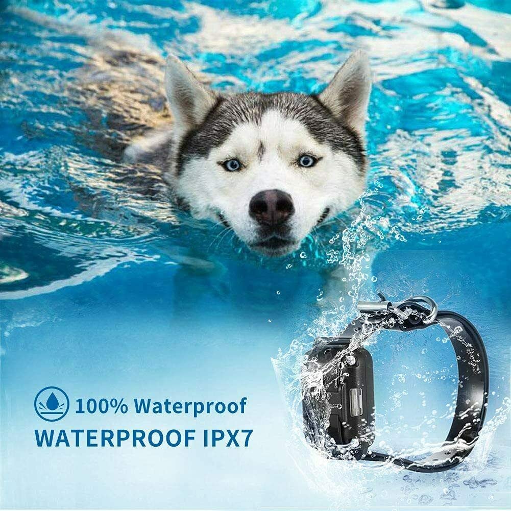 Dog Training Collar with Remote Control,100% IPX7 Waterproof Rechargeable Electric Train Collar with LED Light/Beep/Vibration/Shock Modes, Dog Pet Anti Bark E-Collar for Small, Medium, Large Dogs (1 Remote + 2 Receiver)